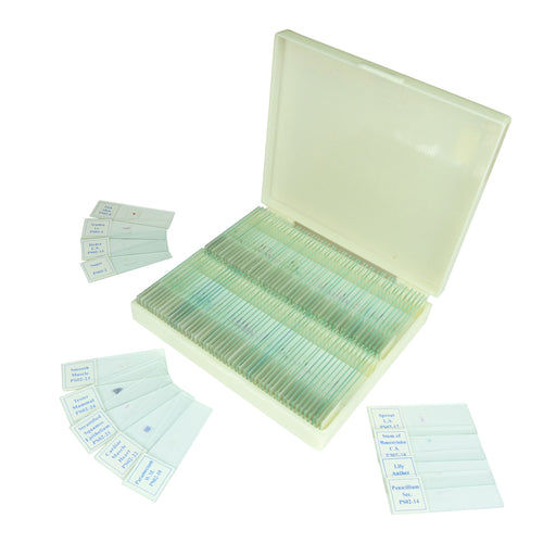 100 Microscope Prepared Slides Sets