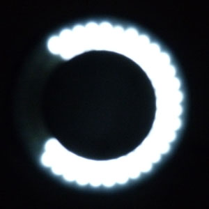 72 LED Ringlight